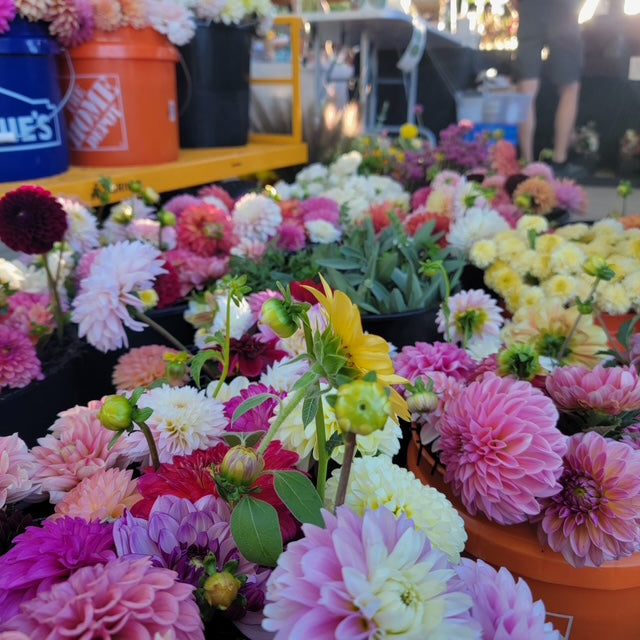 FLOWERS